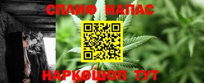 СК Будённовск