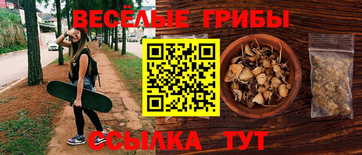 Псилоцибиновые грибы мухоморы Минусинск